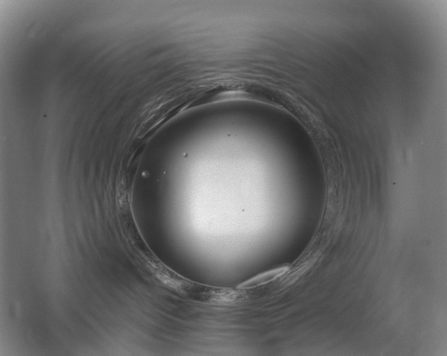 X0000062640096200512211216