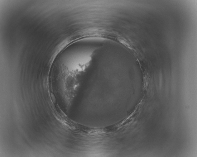 X0000062640099200512211215