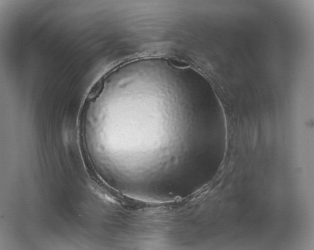 X0000062640100200512211215