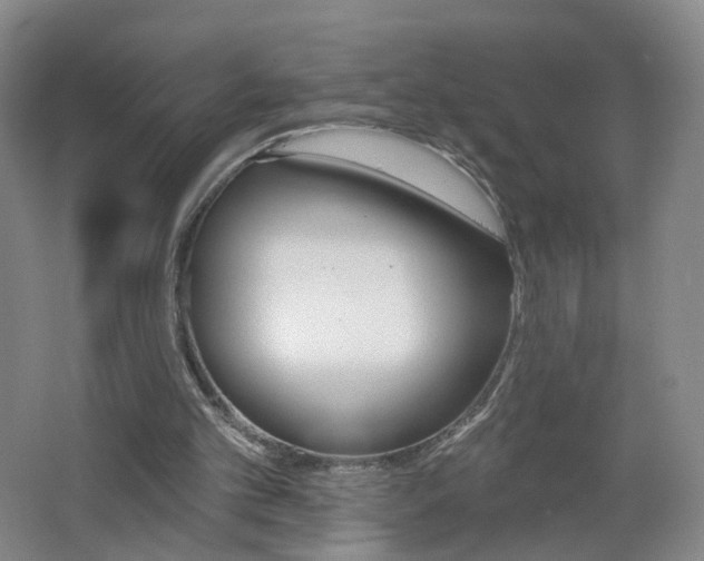 X0000062640101200512211215