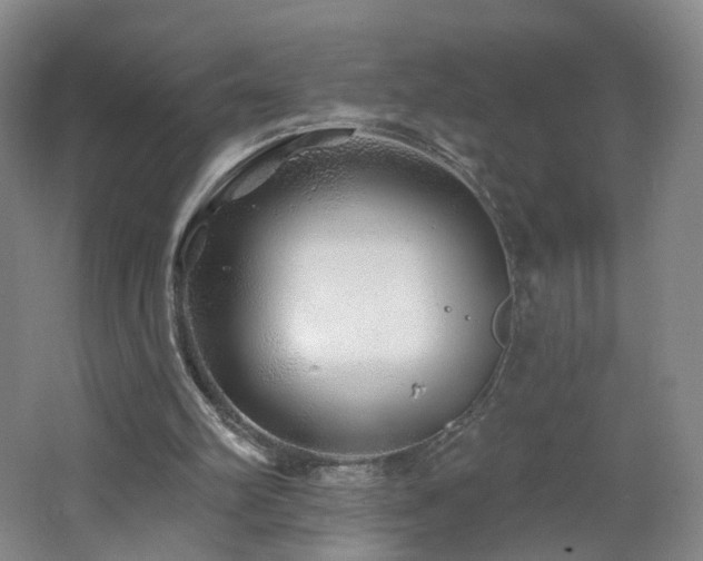 X0000062640102200512211215