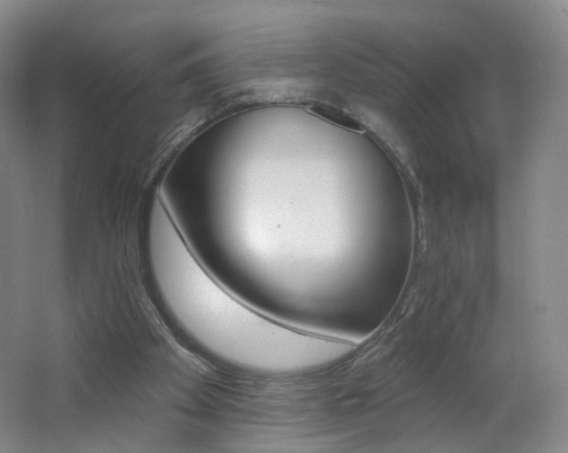 X0000062640105200512211215