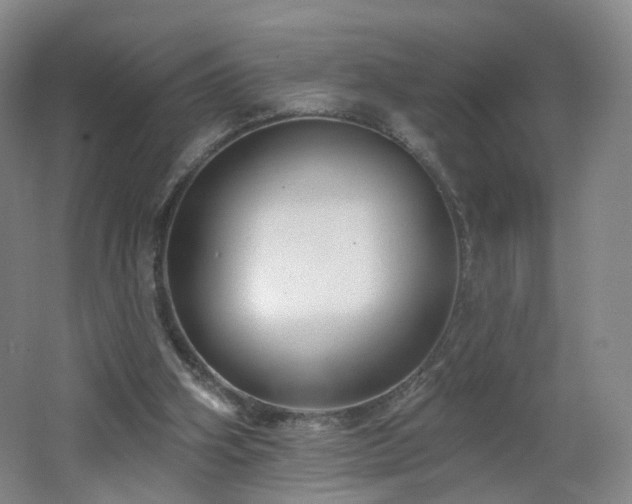 X0000062640106200512211215