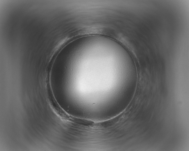 X0000062640107200512211215
