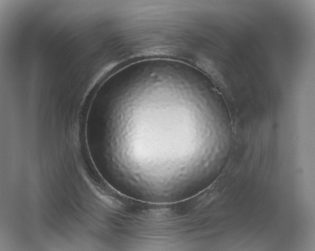 X0000062640108200512211215
