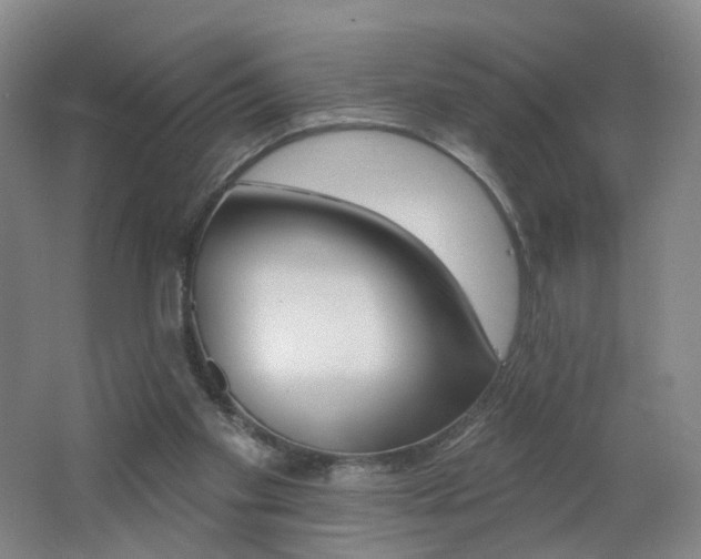 X0000062640109200512211215