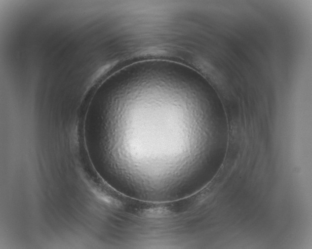 X0000062640112200512211215