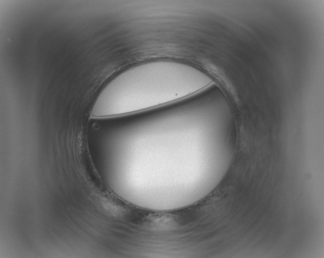 X0000062640113200512211215