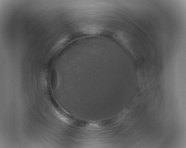 X0000062640114200512211215