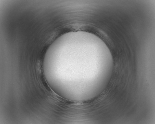 X0000062640121200512211215