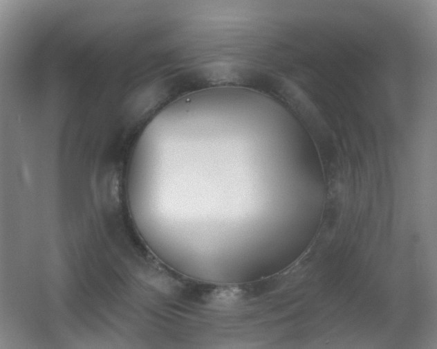 X0000062640124200512211215