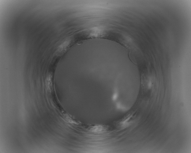 X0000062640127200512211215