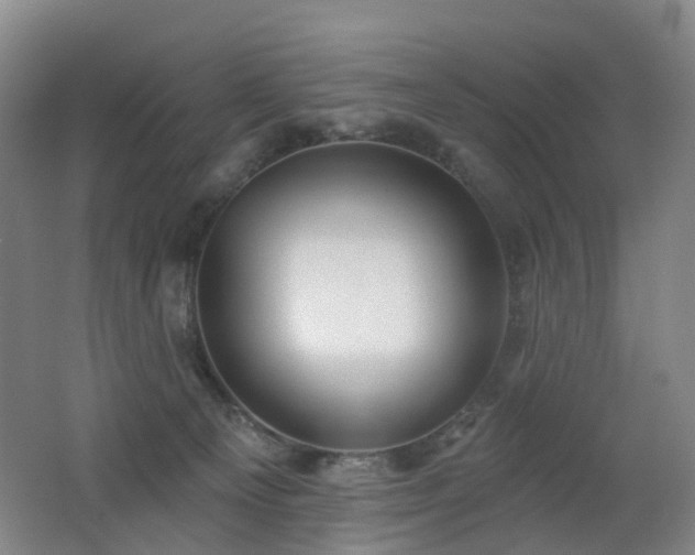 X0000062640129200512211215