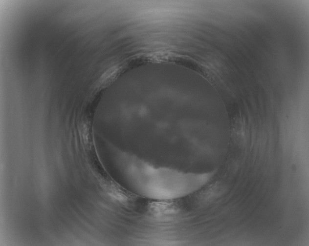 X0000062640139200512211214