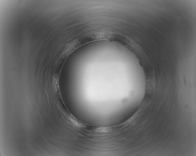 X0000062640142200512211214