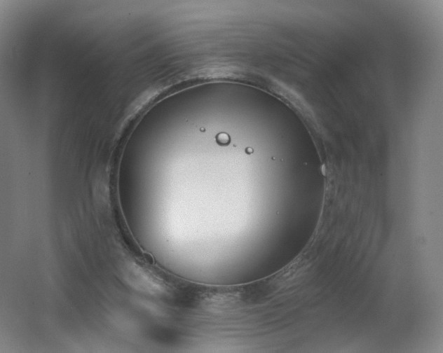 X0000062640155200512211214