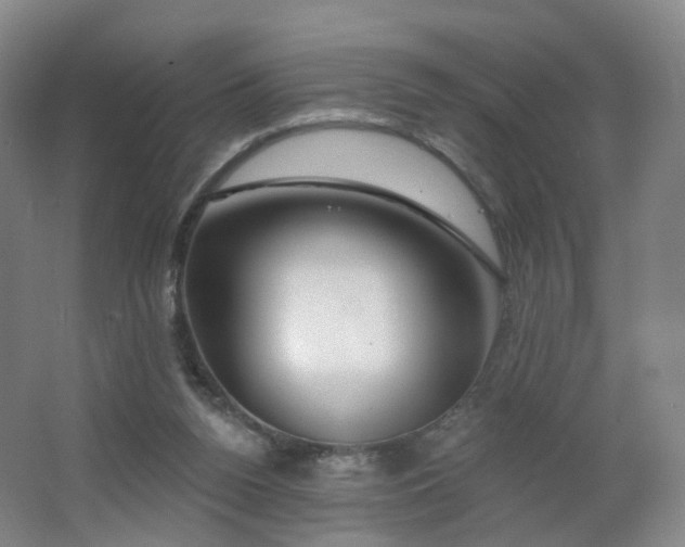 X0000062640160200512211214