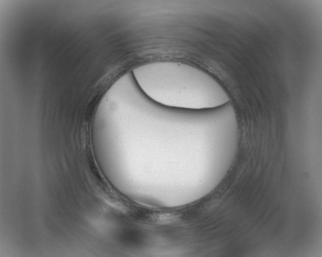 X0000062640165200512211214