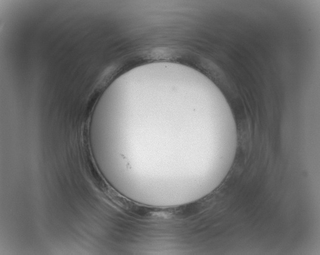 X0000062640167200512211214