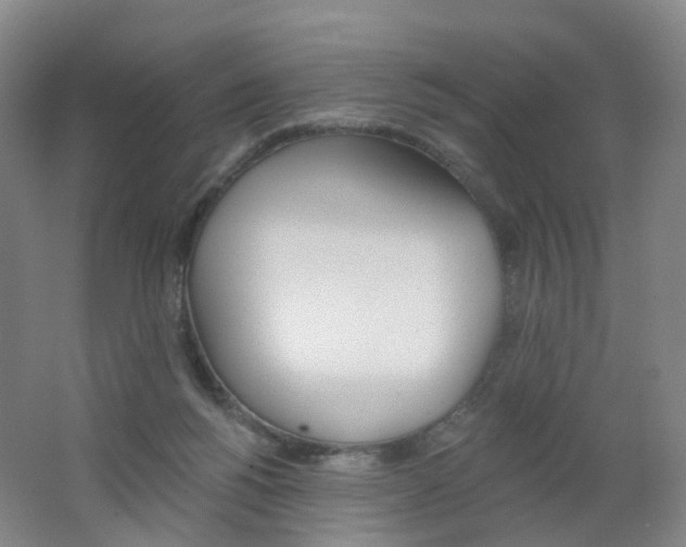 X0000062640168200512211214