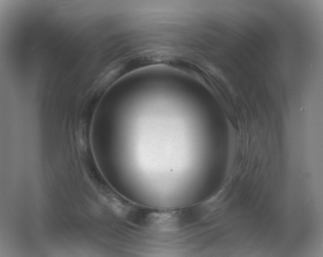 X0000062640170200512211214