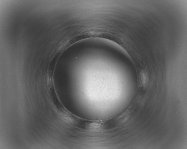 X0000062640176200512211214