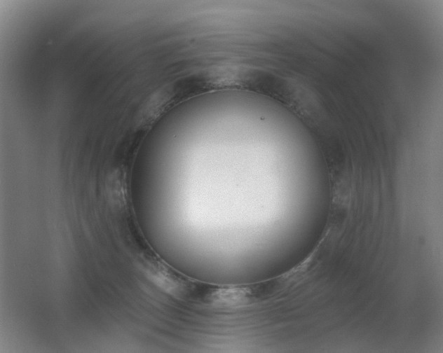 X0000062640179200512211214