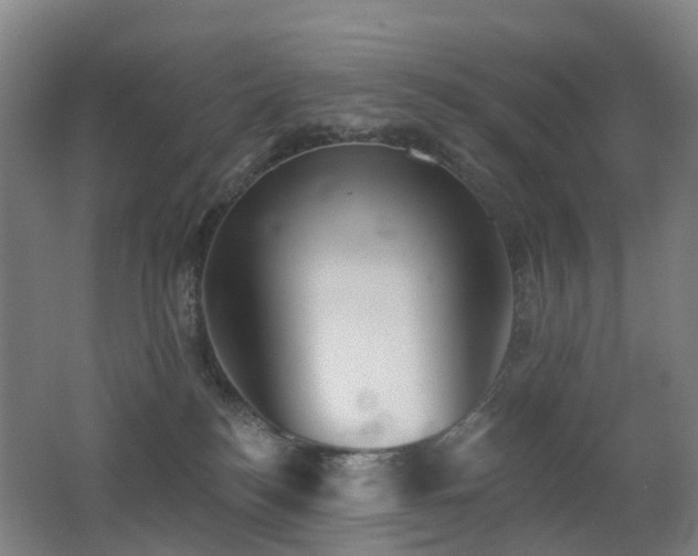 X0000062640184200512211214