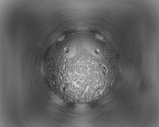 X0000062640185200512211214