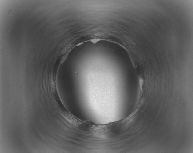 X0000062640186200512211214