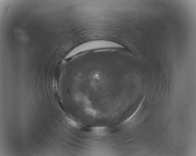 X0000062640192200512211214