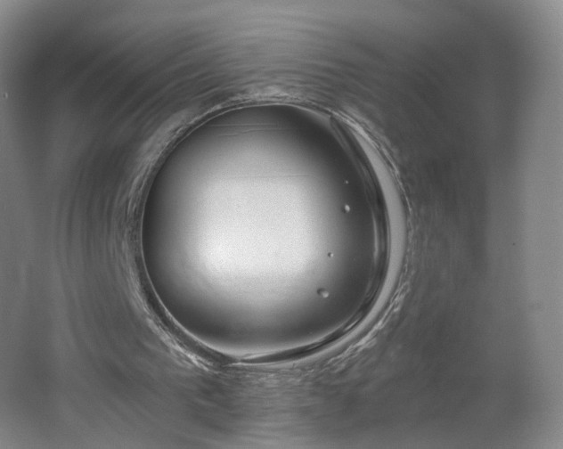 X0000062640193200512211213