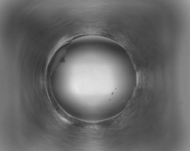 X0000062640195200512211213