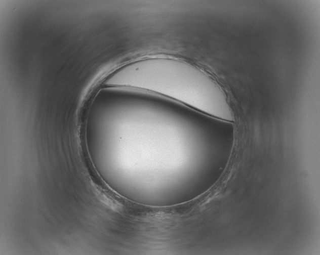 X0000062640197200512211213