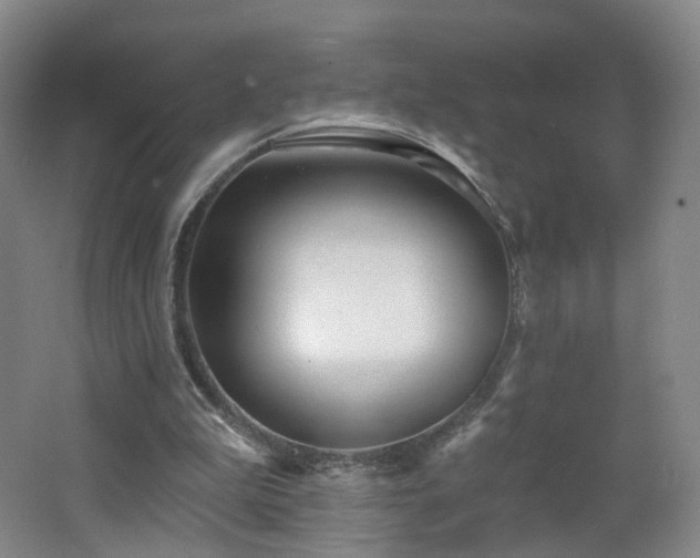 X0000062640199200512211213