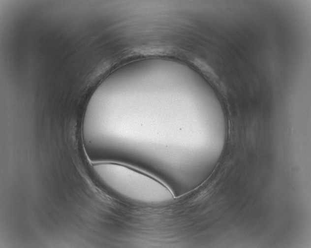 X0000062640201200512211213