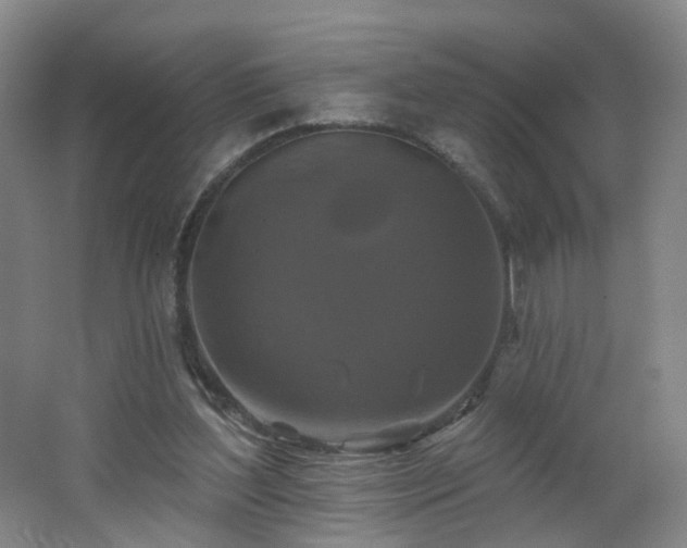 X0000062640204200512211213