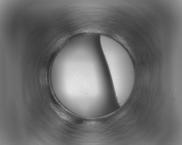 X0000062640205200512211213