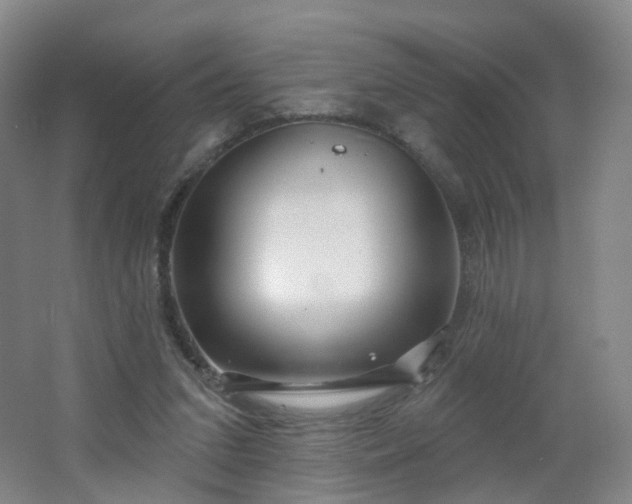 X0000062640207200512211213