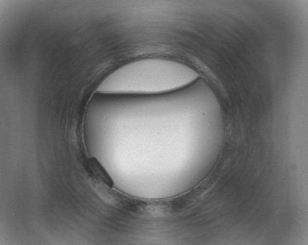 X0000062640209200512211213