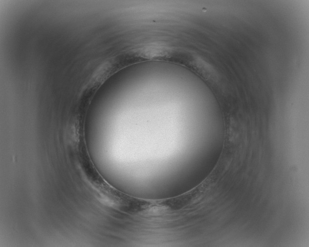 X0000062640210200512211213