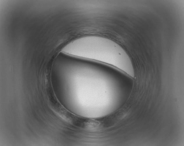 X0000062640215200512211213
