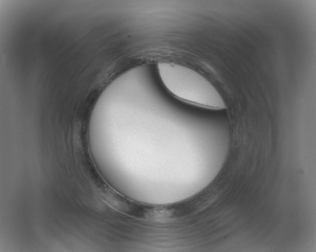 X0000062640217200512211213