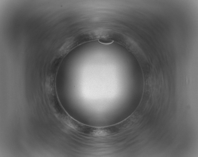 X0000062640218200512211213