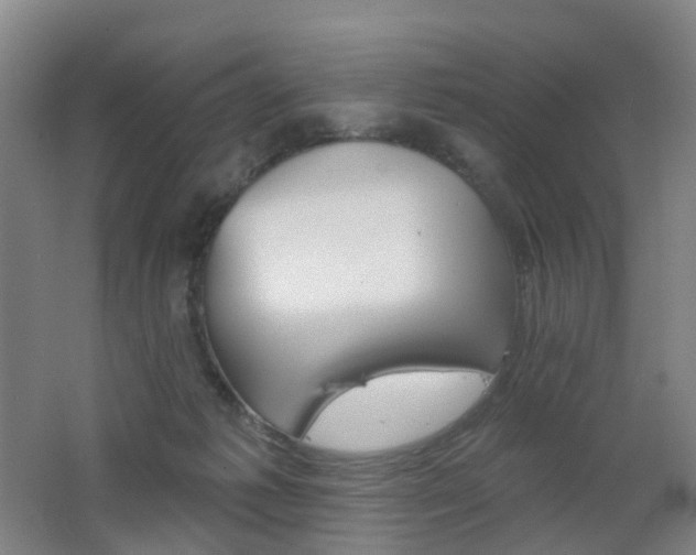X0000062640221200512211213