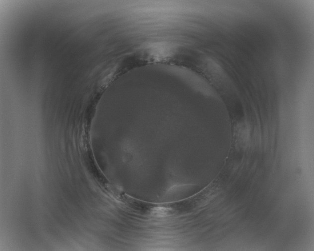 X0000062640222200512211213