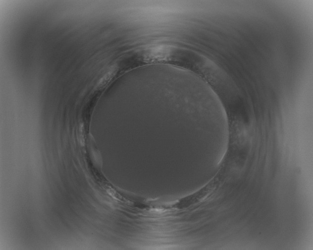 X0000062640224200512211213