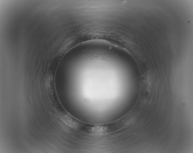 X0000062640225200512211213