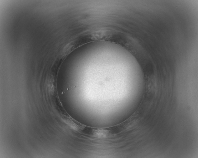 X0000062640226200512211213