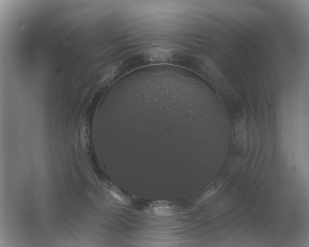 X0000062640228200512211213